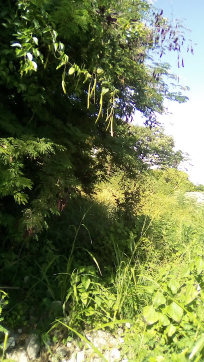 Dirección, horario, teléfono y opiniones de Motos y Bicicletas de La Corregidora en Campeche