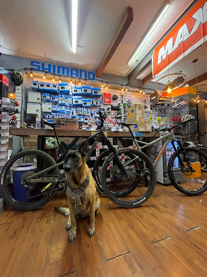 Dirección, horario, teléfono y opiniones de Rodada 26 Bike Store en Puebla