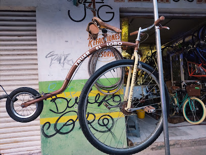 Dirección, horario, teléfono y opiniones de Taller de Bicicletas Lobo en Cuautla