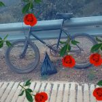 Dirección, horario, teléfono y opiniones de Bici 8 en Venustiano Carranza