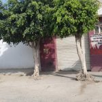 Dirección, horario, teléfono y opiniones de Bici Look en León