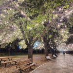 Dirección, horario, teléfono y opiniones de Estación Bicicletas - Recta en Monterrey