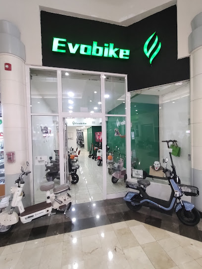 Dirección, horario, teléfono y opiniones de Evobike Monterrey en San Nicolás de los Garza