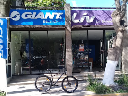 Dirección, horario, teléfono y opiniones de Giant Store Tehuacán en Tehuacán