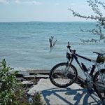 Dirección, horario, teléfono y opiniones de Taller de Bicicletas 2 Ruedas en Cd. Victoria