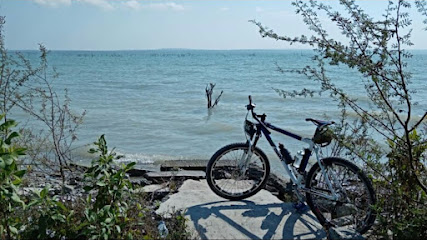 Dirección, horario, teléfono y opiniones de Taller de Bicicletas 2 Ruedas en Cd. Victoria