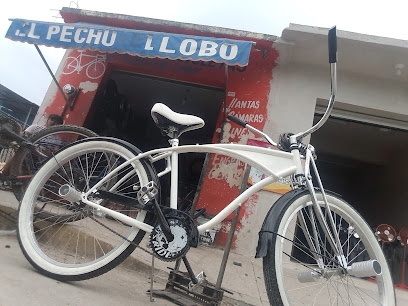 Dirección, horario, teléfono y opiniones de Taller de Bicis El Pechu y El Lobo en Chetumal