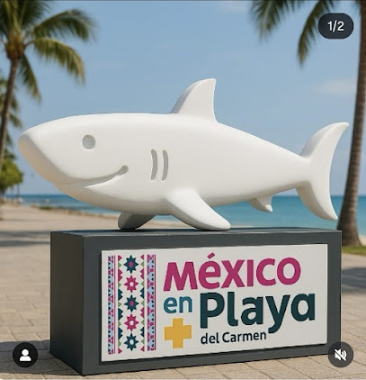 Dirección, horario, teléfono y opiniones de Teknobike Playa en Playa del Carmen