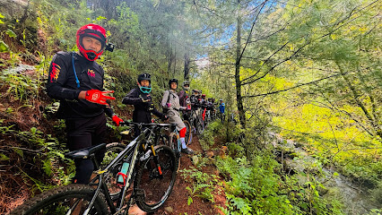 Dirección, horario, teléfono y opiniones de Tíos Necios Bikes en San Andrés Cholula