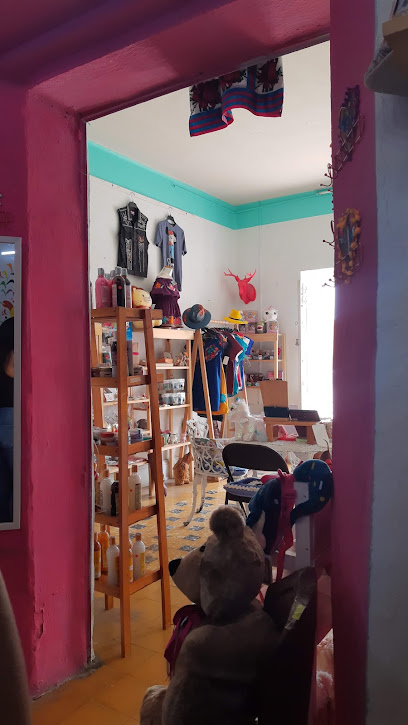 Dirección, horario, teléfono y opiniones de Un Gatito En Bicicleta en Tehuacán